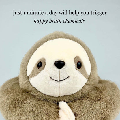 Sola the Sloth Weighted Animal